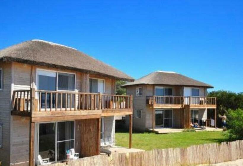 هاستل Dunak La Pedrera