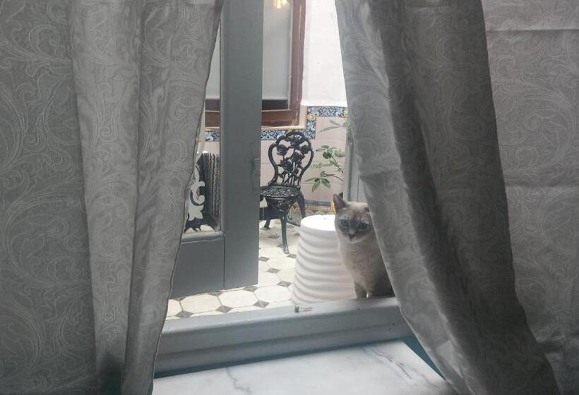 مبيت وإفطار Casa Artistica 2