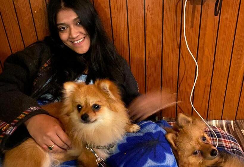 ユースホステル Chakras A Boutique Stay