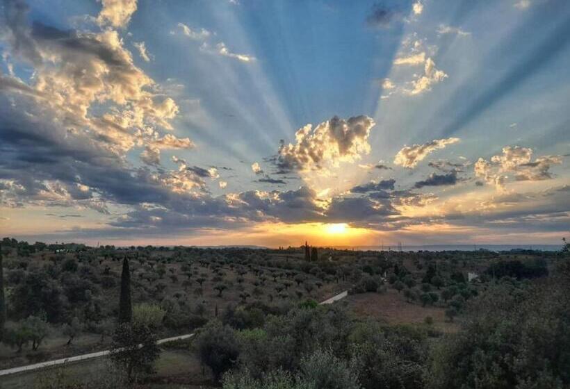 مبيت وإفطار Al Recanto Do Sol