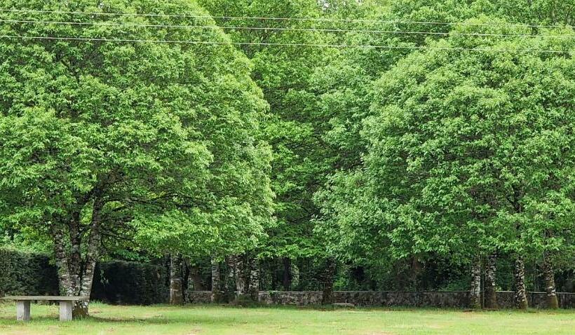Finca La Cuevona Del Camino Guitiriz