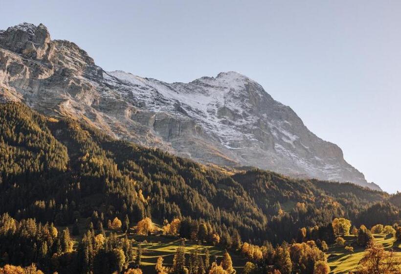 Отель Fiescherblick