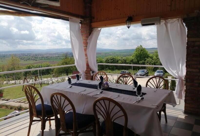 Merlot Borhotel és Látványpince