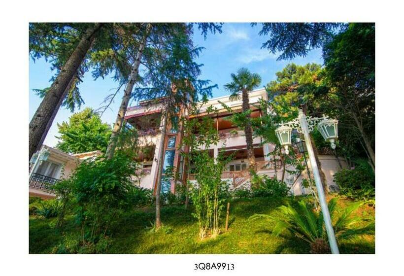 펜션 Dream Mansion Ada