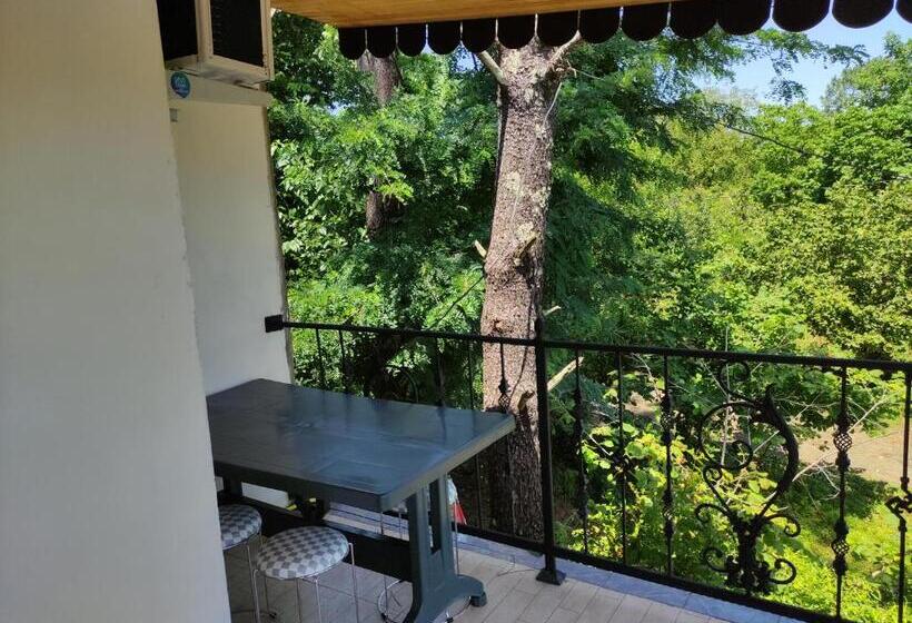 پانسیون Valdi Guest Shekvetili