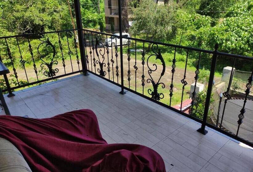 پانسیون Valdi Guest Shekvetili