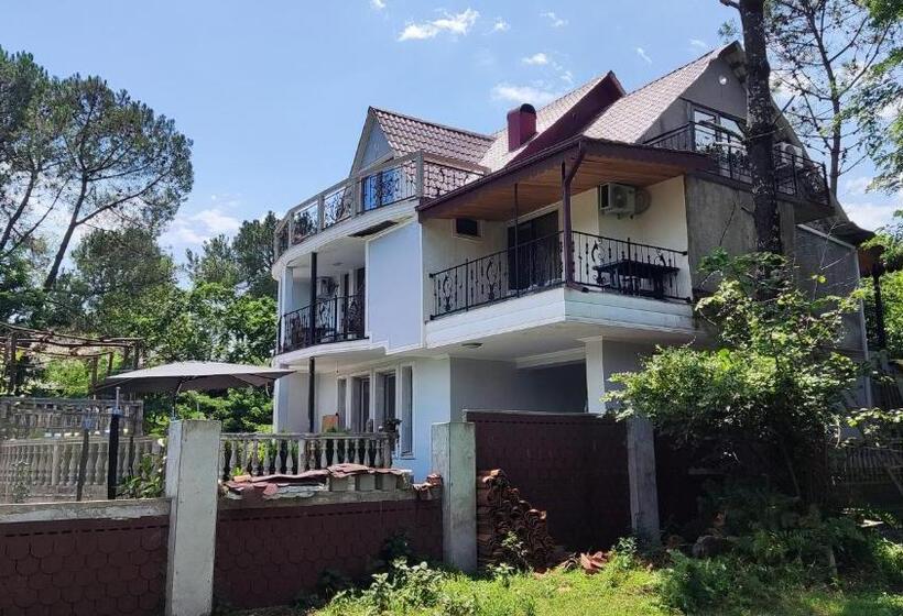 پانسیون Valdi Guest Shekvetili