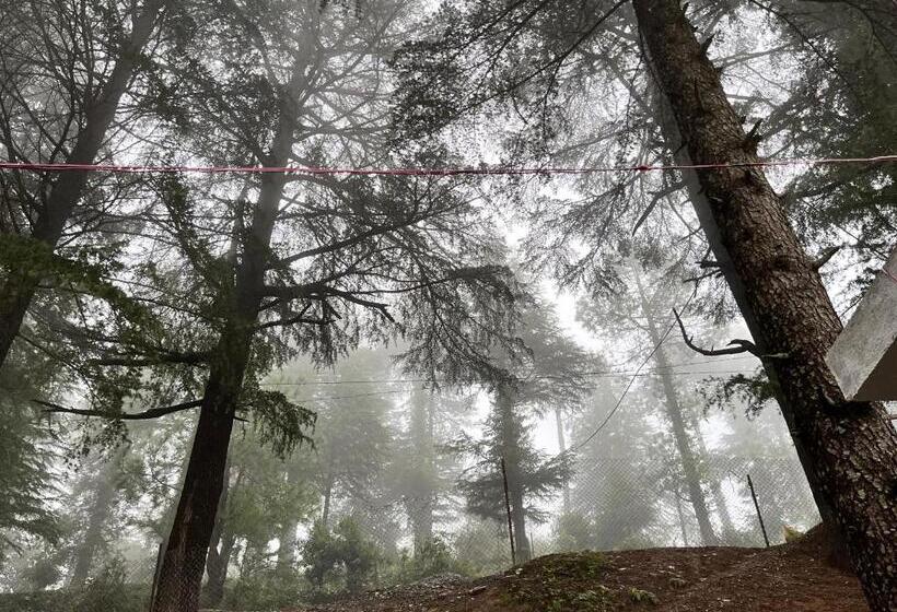 The Roots Hotel & Resort Jalna Almora