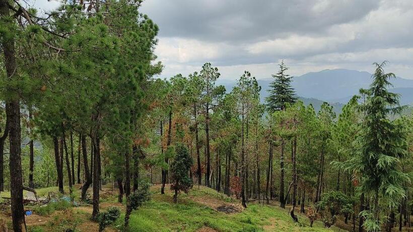 The Roots Hotel & Resort Jalna Almora