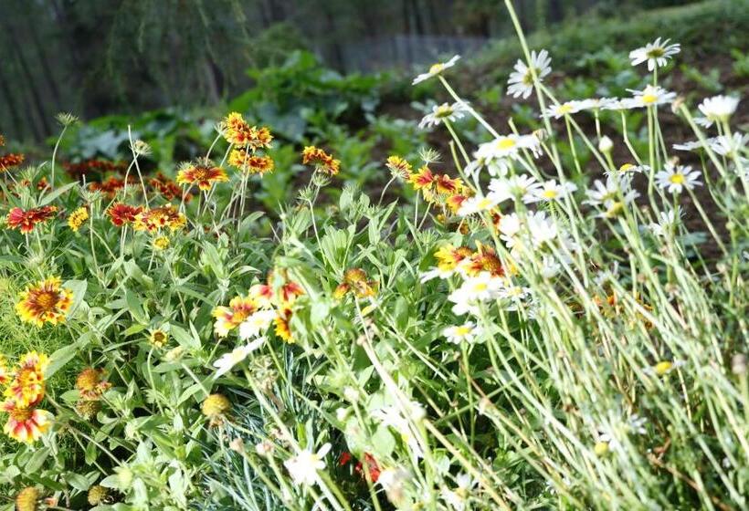 The Roots Hotel & Resort Jalna Almora