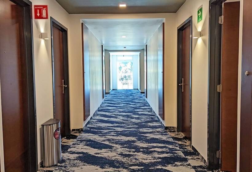 فندق Fray Select