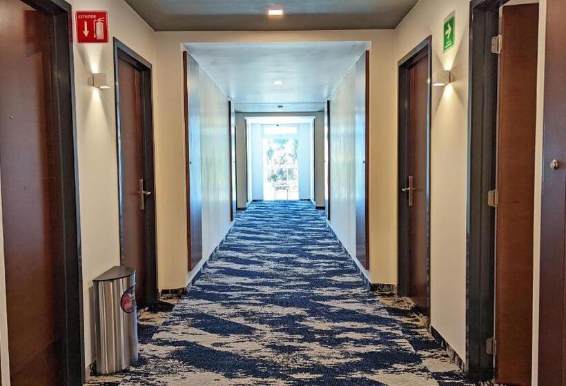 فندق Fray Select