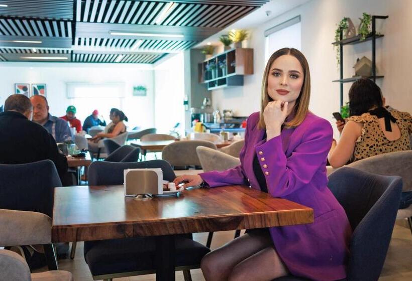 فندق Fray Select