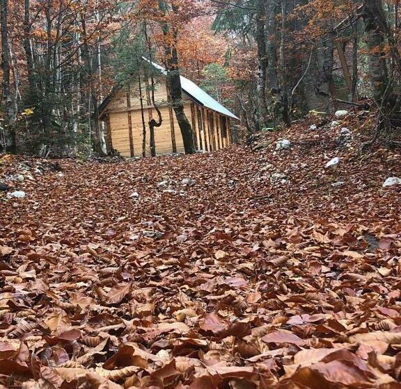 פנסיון Guesthouse Dioni