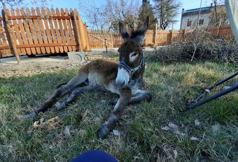 Пансион Le Cerque