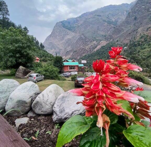 渡假胜地  Dreamland Cottage & Cafe