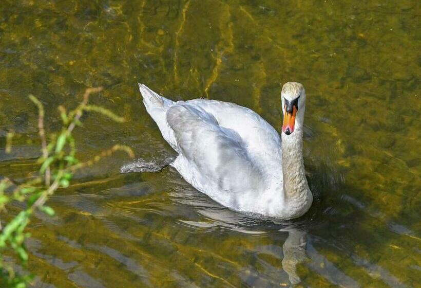 渡假胜地 Notter Bridge Holiday Park