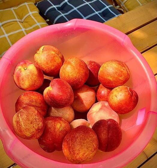 تختخواب و صبحانه Ekas Rosengarten