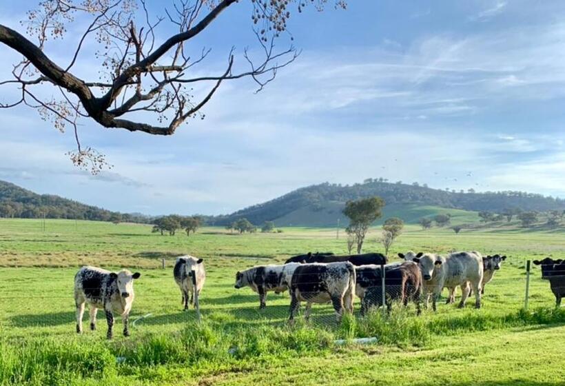 민박 Enfield House Mudgee