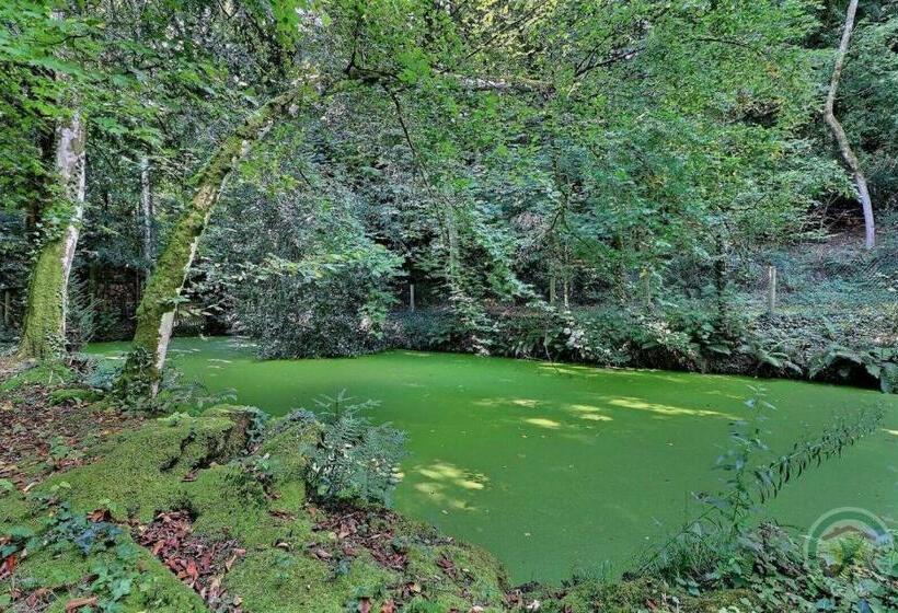 ベッドアンドブレックファースト Manoir De La Droulinais