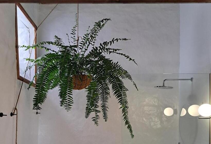 Casa De Las Flores   Hotel Boutique Lanzarote