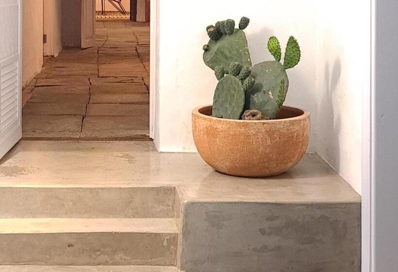 Casa De Las Flores   Hotel Boutique Lanzarote