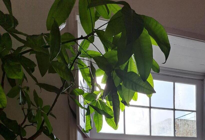 Casa De Las Flores   Hotel Boutique Lanzarote