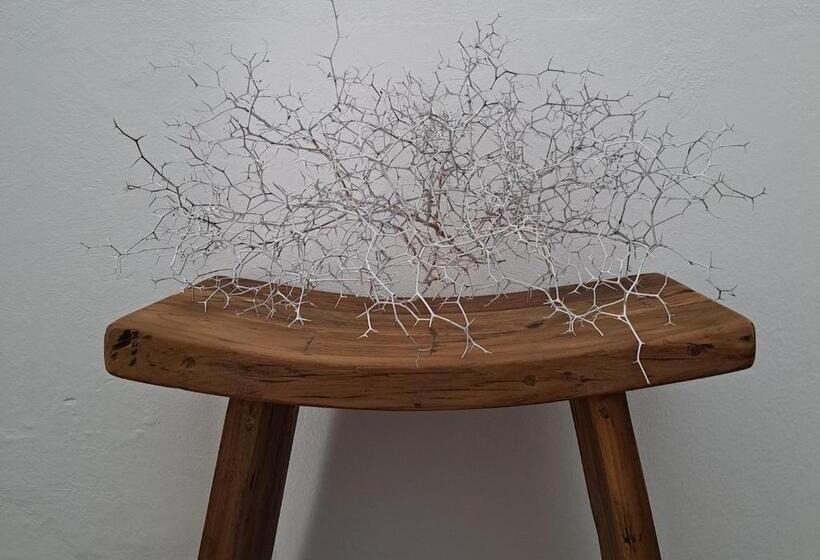 Casa De Las Flores   Hotel Boutique Lanzarote