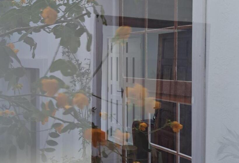 Casa De Las Flores   Hotel Boutique Lanzarote