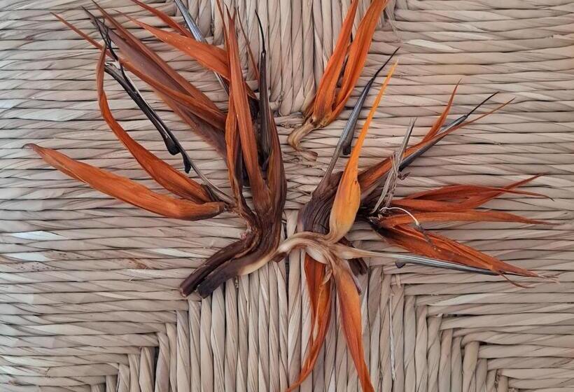 Casa De Las Flores   Hotel Boutique Lanzarote