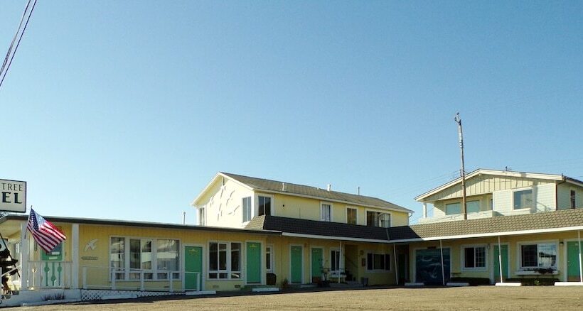 Cypress Tree Motel