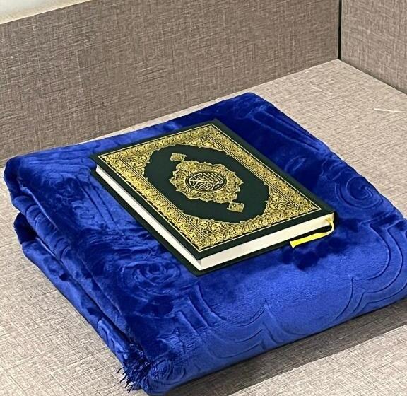 호텔 اجنحة نجمة ثلاثية Triple Star