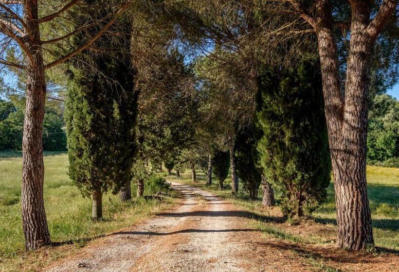 בית מלון כפרי Antico Podere Carbone