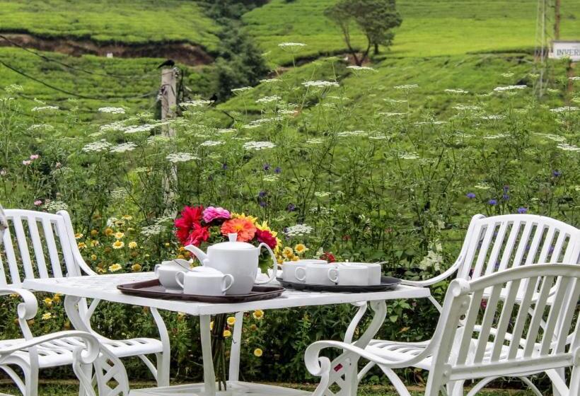 Отель Friendly Hills