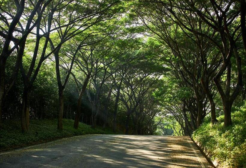 Отель Intercontinental Khao Yai Resort, An Ihg