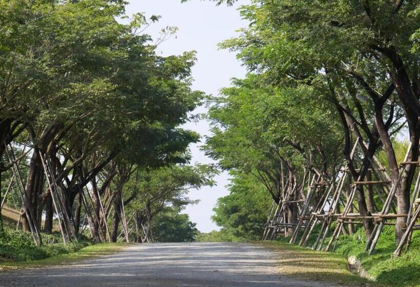 Отель Intercontinental Khao Yai Resort, An Ihg