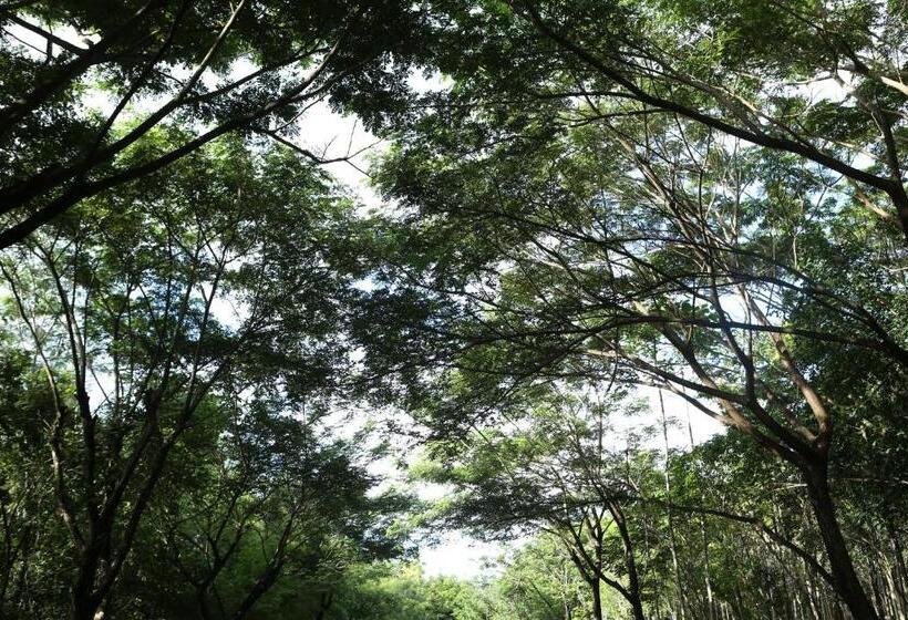 Отель Intercontinental Khao Yai Resort, An Ihg