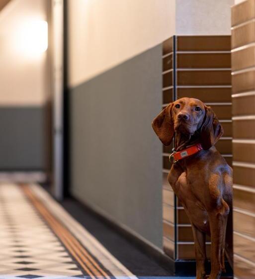 Ocean House Scheveningen