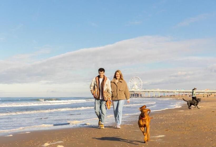 Ocean House Scheveningen