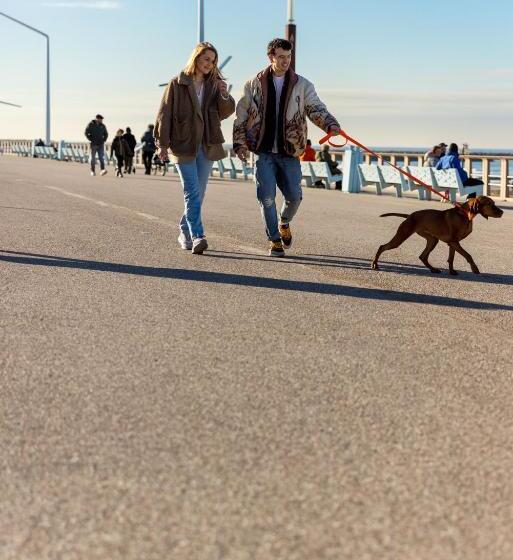 Ocean House Scheveningen