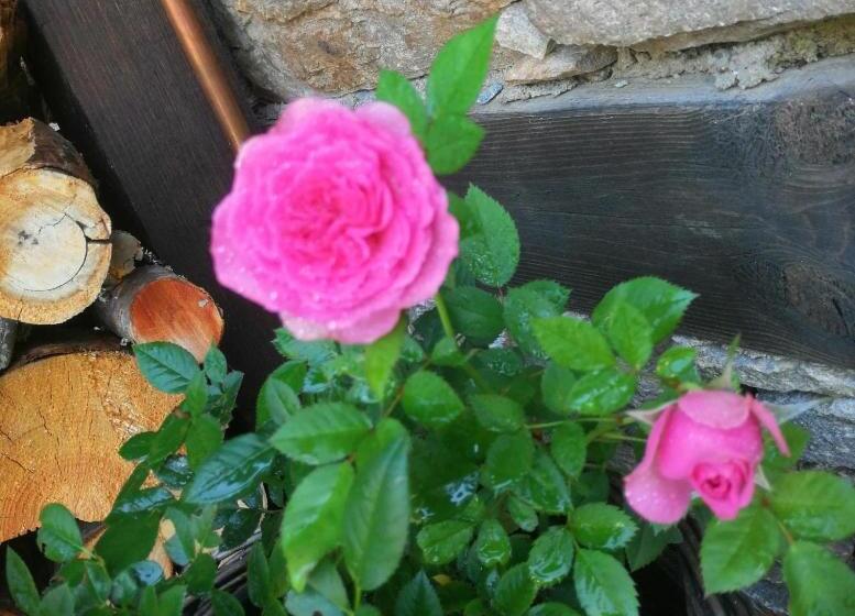 Pensió кондеви къщи