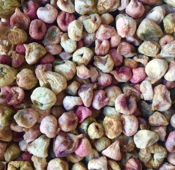 بنسيون Poqr Tagh