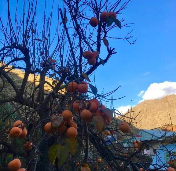 بنسيون Poqr Tagh