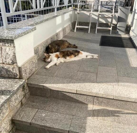 پانسیون Villino Liber