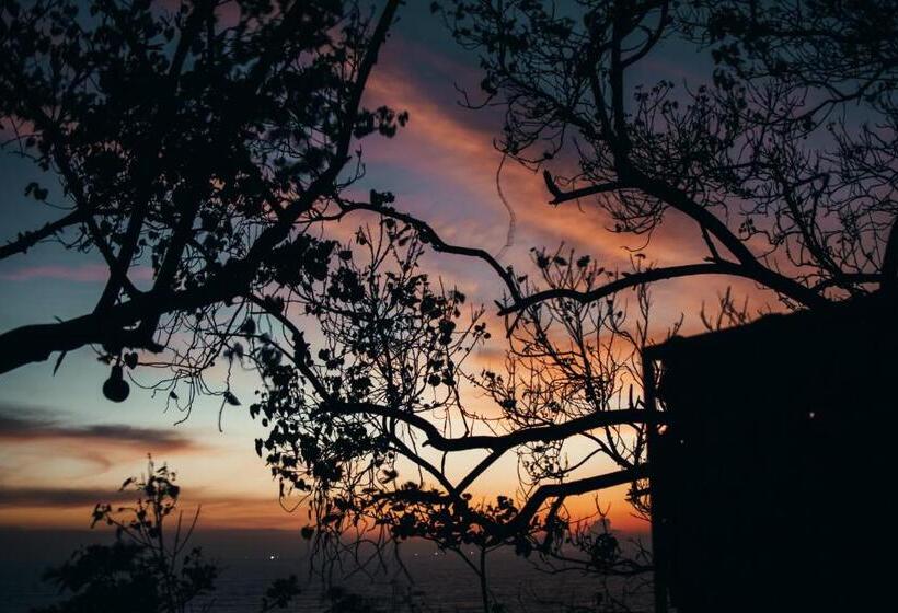 استراحتگاه Novella