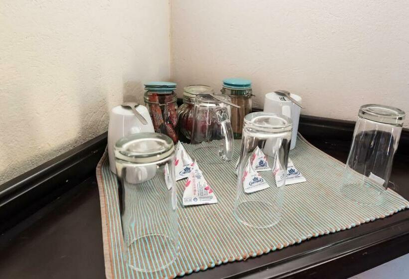 ユースホステル Poacher