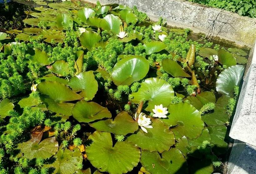 ベッドアンドブレックファースト La Revêtizon