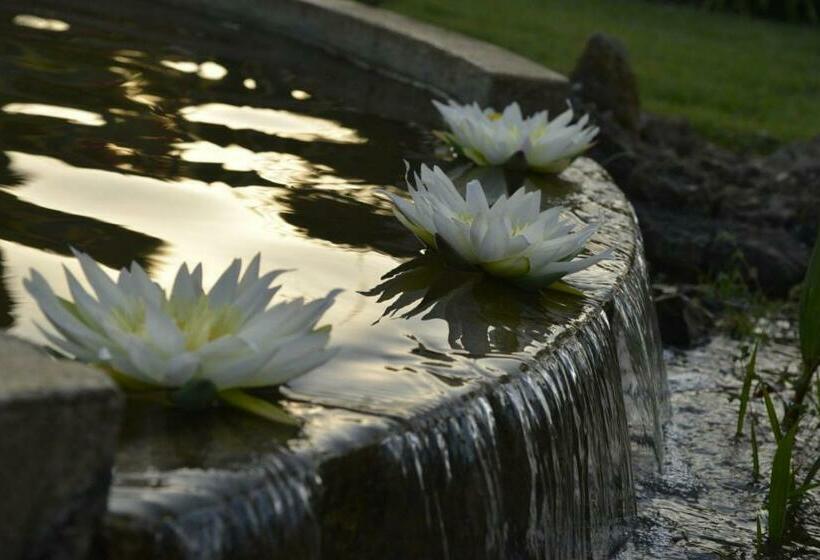 צימר Paradise Suite