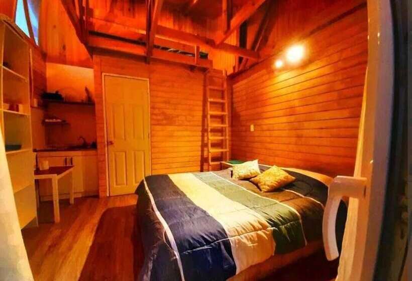 مبيت وإفطار The Ocean Hostel