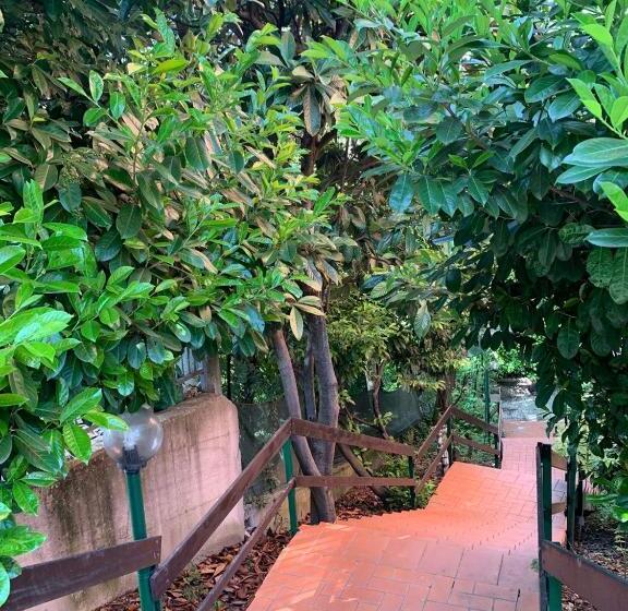 בית מלון כפרי Amica